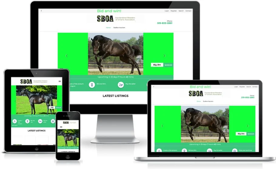 View Sample Auction Site