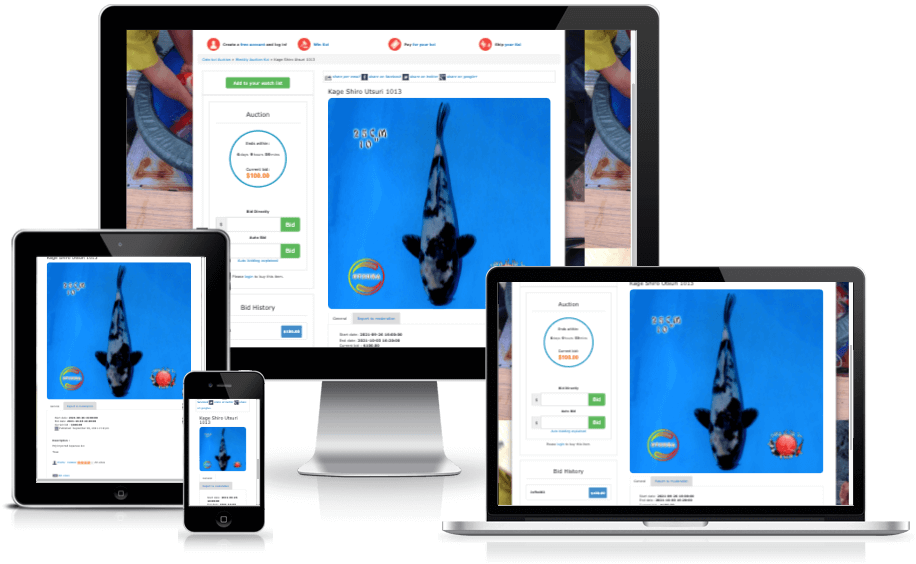 View Sample Auction Site