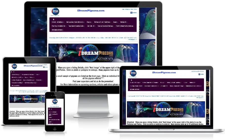 View Sample Auction Site