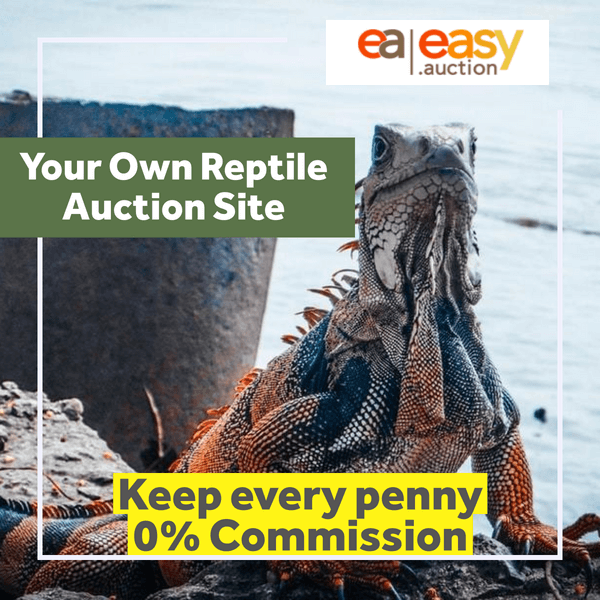 Easy.Auction