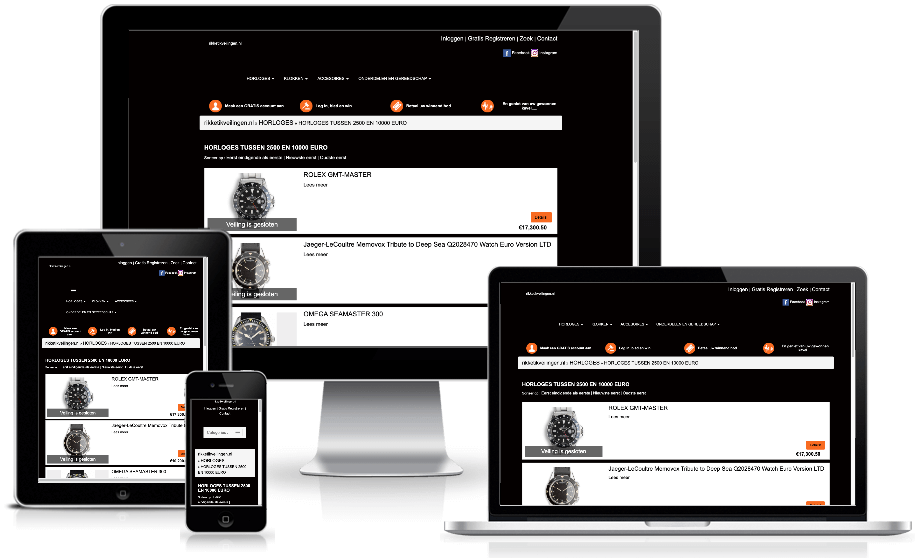 View Sample Auction Site